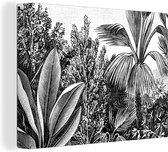 Canvas Schilderij Planten - Natuur - Design - Illustratie - Ernst Haeckel - 120x90 cm - Wanddecoratie