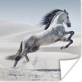 Poster Paard - Dieren - Zand - Natuur - 50x50 cm
