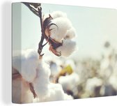 Toile Peinture Plantes - Bloem - Branche - Nature - 160x120 cm - Décoration murale XXL