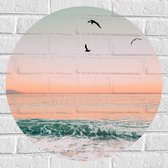 WallClassics - Muursticker Cercle - Vogels Volants au-dessus de la Mer - 60x60 cm Photo sur Muursticker