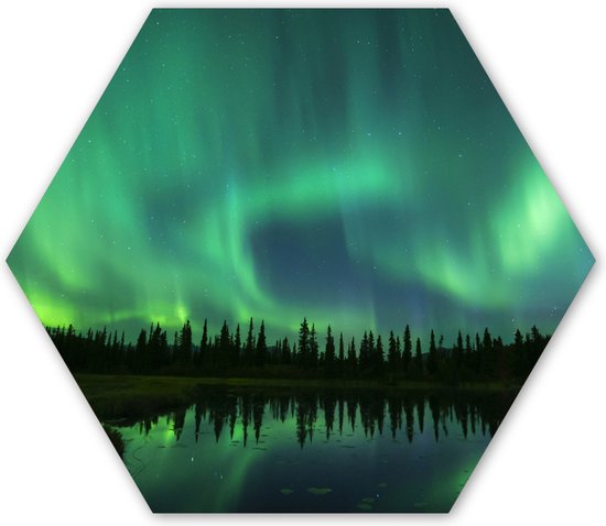 Hexagon wanddecoratie - Kunststof Wanddecoratie - Hexagon Schilderij - Noorderlicht - Bomen - Water - Alaska - 37x32 cm