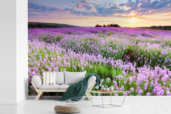 Papier peint - Papiers Papier peint photo - Mer de Fleurs Violette - Largeur 330 cm x Hauteur 220 cm