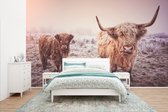 Behang - Fotobehang Schotse hooglanders - Licht - Lucht - Natuur - Breedte 435 cm x hoogte 260 cm
