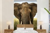 Behang - Fotobehang Olifant - Natuur - Gras - Dieren - Landschap - Breedte 195 cm x hoogte 300 cm