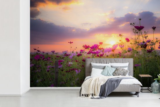 Champ de fleurs avec des fleurs roses au crépuscule 600x400 cm