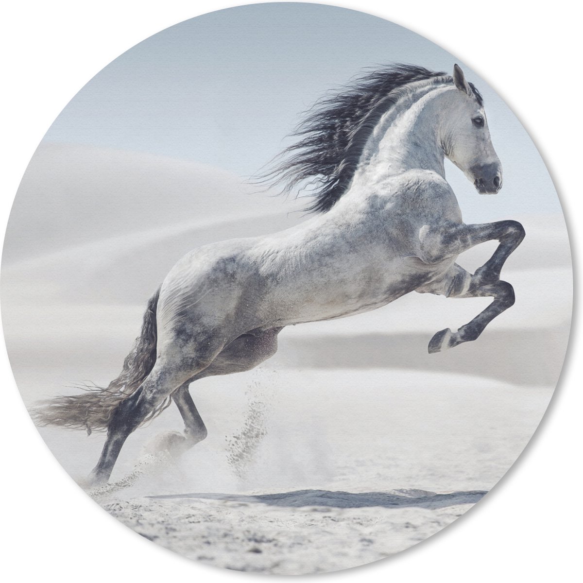 Muismat rond 40x40 cm - Mousepad Paard - Dieren - Zand - Natuur - Ronde muismatten