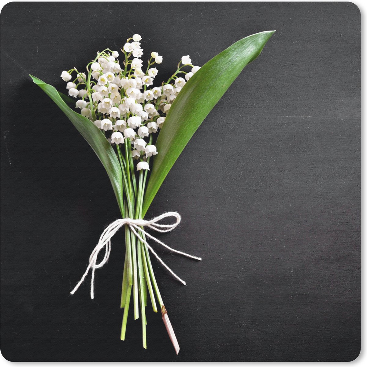 Muismat 20x20 cm - Mousepad Lelietjes van dalen - Bloemen - Stilleven - Flora - Muismatten
