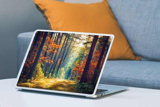 Sticker ordinateur portable - 15,6 pouces - Forêt - Soleil - Nature - Automne