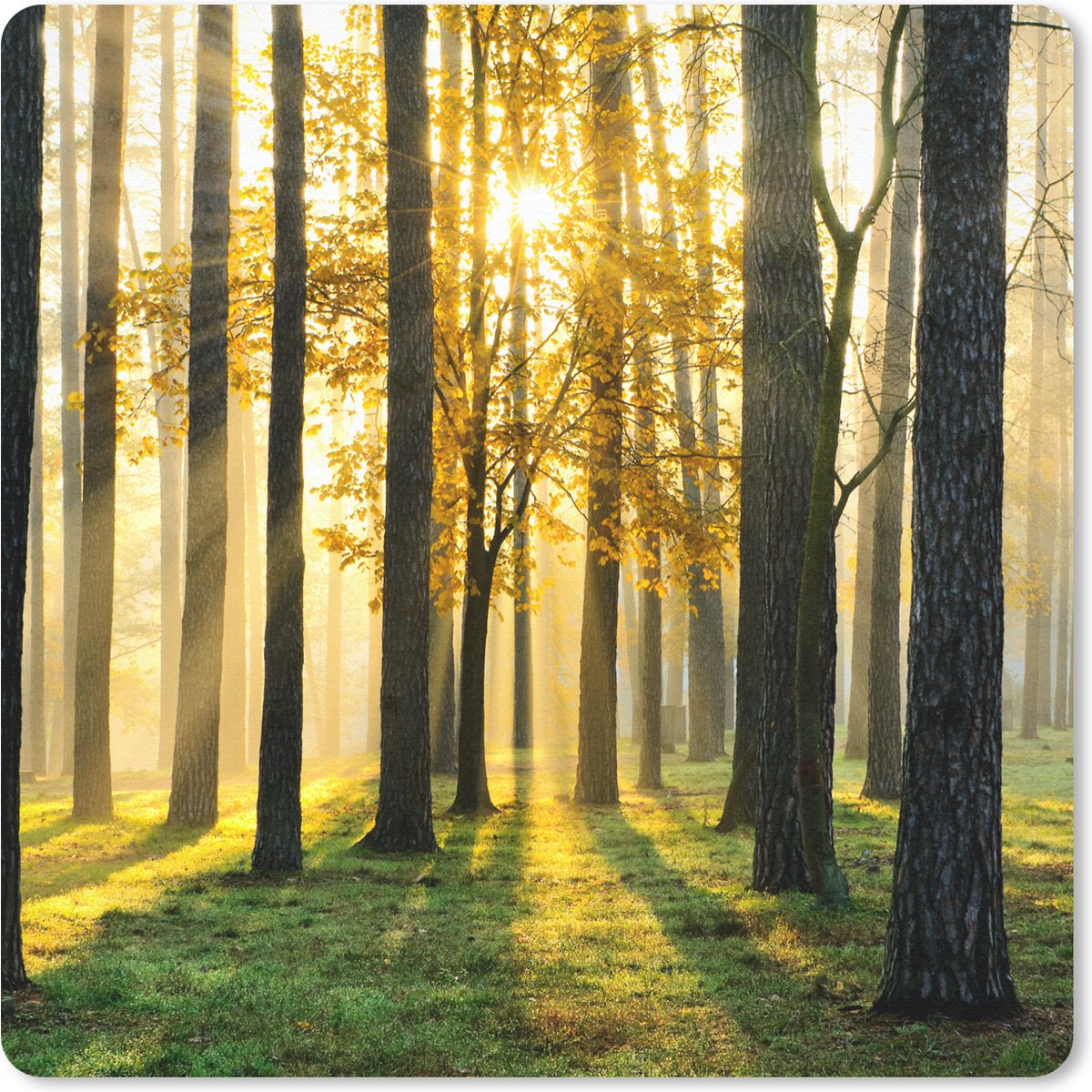 Muismat 20x20 cm - Mousepad Bos - Zon - Bomen - Gras - Landschap - Natuur - Muismatten