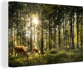 Canvas schilderij - Herten in het bos 180x120 - Kamer decoratie accessoires bomen - Schilderijen woonkamer dieren - Wanddecoratie hert slaapkamer - Muurdecoratie natuur keuken - Wanddoek interieur - Woondecoratie huis - Woonaccessoires