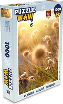 Puzzel Planten - Natuur - Bloemen - Zon - Horizon - Legpuzzel - Puzzel 1000 stukjes volwassenen