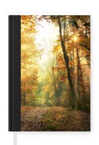 Notitieboek - Schrijfboek - Bos - Herfst - Zon - Landschap - Natuur - Bomen - Bladeren - Notitieboekje klein - A5 formaat - Schrijfblok