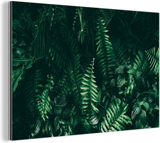 Wanddecoratie Metaal - Aluminium Schilderij Industrieel - Bladeren - Jungle - Natuur - Tropisch - Planten - 30x20 cm - Dibond - Foto op aluminium - Industriële muurdecoratie - Voor de woonkamer/slaapkamer