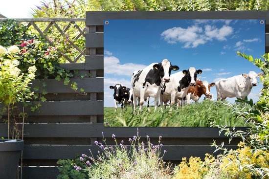Affiche jardin - Toile jardin - Affiches jardin extérieur - Vaches - Campagne - Pâturage - Nature - Animaux - Posters de jardin cm - Jardin