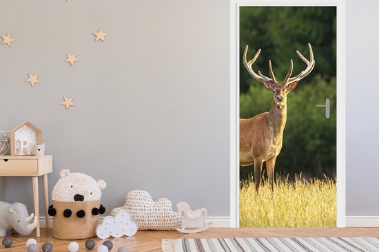 Sticker pour porte Cerf - Bois - Herbe - Nature - Animaux - Vert - 75x205 cm - Affiche de porte