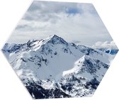 WallClassics - PVC Schuimplaat Hexagon  - Sneeuw op Hoge Bergen - 80x69.6 cm Foto op Hexagon (Met Ophangsysteem)