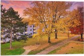 WallClassics - Drapeau - Arbres d'automne dans un village - 75x50 cm Photo sur Drapeau Polyester