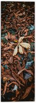 WallClassics - Dibond - Bruine Herfstbladeren - 50x150 cm Foto op Aluminium (Met Ophangsysteem)