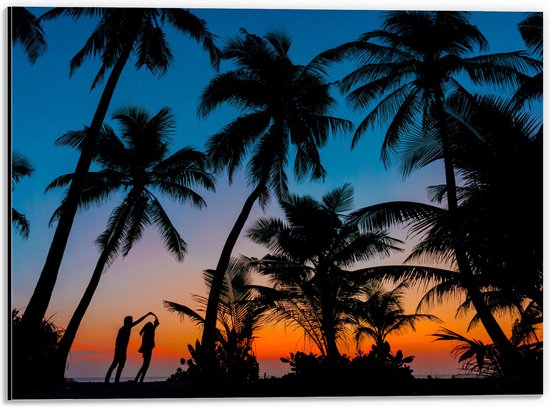 WallClassics - Dibond - Silhouette van Palmbomen op een Tropisch Strand - 40x30 cm Foto op Aluminium (Wanddecoratie van metaal)