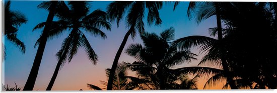 WallClassics - Acrylglas - Silhouette van Palmbomen op een Tropisch Strand - 60x20 cm Foto op Acrylglas (Wanddecoratie op Acrylaat)