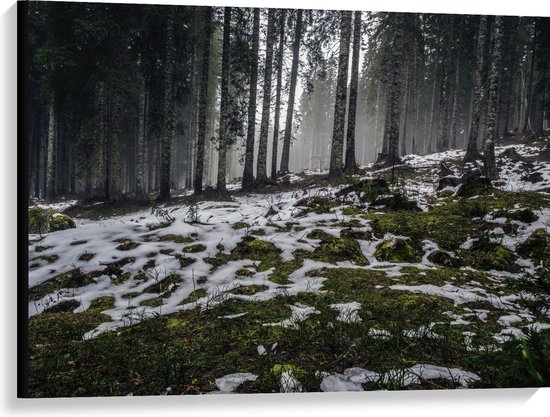 WallClassics - Canvas  - Smalle Bomen in Bos met Kleine Beetjes Sneeuw - 100x75 cm Foto op Canvas Schilderij (Wanddecoratie op Canvas)