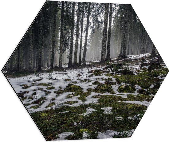 WallClassics - Dibond Hexagon - Smalle Bomen in Bos met Kleine Beetjes Sneeuw - 60x52.2 cm Foto op Hexagon (Met Ophangsysteem)