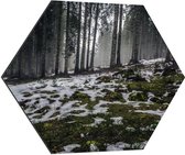 WallClassics - Dibond Hexagon - Smalle Bomen in Bos met Kleine Beetjes Sneeuw - 70x60.9 cm Foto op Hexagon (Met Ophangsysteem)
