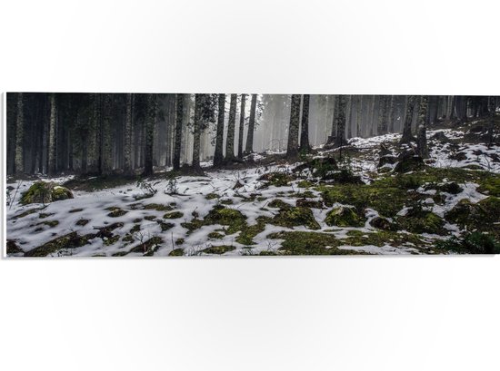 WallClassics - PVC Schuimplaat- Smalle Bomen in Bos met Kleine Beetjes Sneeuw - 60x20 cm Foto op PVC Schuimplaat