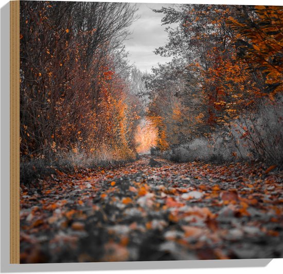 WallClassics - Hout - Kale Bomen met Herfstbladeren - 50x50 cm - 12 mm dik - Foto op Hout (Met Ophangsysteem)