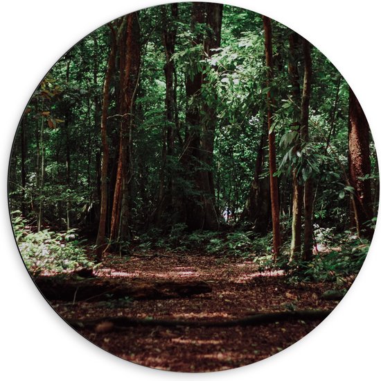 WallClassics - Cercle mural Dibond - Troncs d'arbres sombres en forêt - Photo 60x60 cm sur cercle mural en aluminium (avec système de suspension)