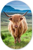 Ovale mural - Décoration murale en plastique - Tableau ovale - Highlander écossais - Vache - Nature - Berg - Herbe - 40x60 cm - Forme miroir ovale sur plastique