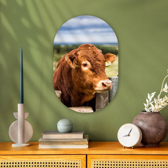 Wall Oval - Décoration murale en plastique - Peinture ovale - Highlander écossais - Berg - Clôture - 40x60 cm - Forme miroir ovale sur plastique