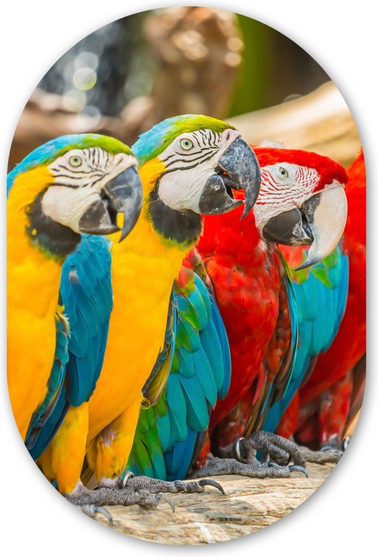 Papegaai decoratieve kunstvogels decoratie 2 stuks papegaai figuur piepschuim vorm model vogel bal decoratieve vogels voor doe-het-zelf beschildering knutselen tuin bonsai decoratie