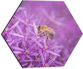 WallClassics - Dibond Hexagon - Fleurs Violettes avec Abeille - 30x26,1 cm Photo sur Hexagone (Avec Système d'accrochage)
