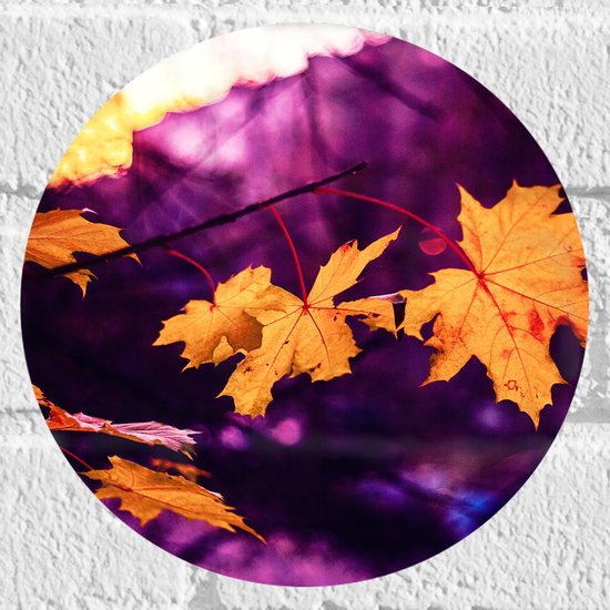 WallClassics - Muursticker Cirkel - Oranje Herfstbladeren met Paarse Achtergrond - 20x20 cm Foto op Muursticker