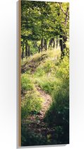 WallClassics - Hout - Bomen op Berg omhoog - 40x120 cm - 12 mm dik - Foto op Hout (Met Ophangsysteem)