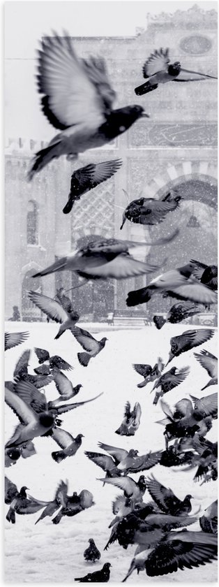 WallClassics - Poster (Mat) - Vliegende Duiven in de Sneeuw - 20x60 cm Foto op Posterpapier met een Matte look