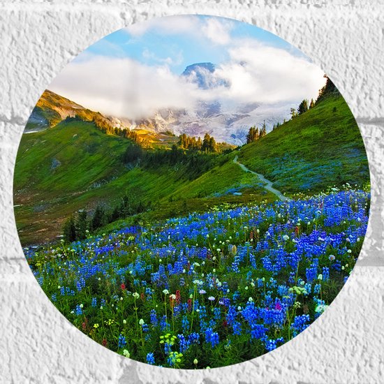 WallClassics - Muursticker Cirkel - Blauwe Druifjes tussen Bergen - 20x20 cm Foto op Muursticker
