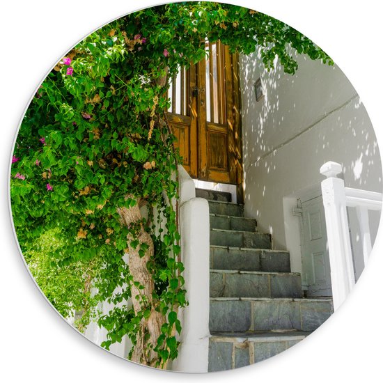 WallClassics - Plaque de Mousse PVC Cercle Mural - Arche de Fleurs - 50x50 cm Photo sur Cercle Mural (avec système d'accrochage)