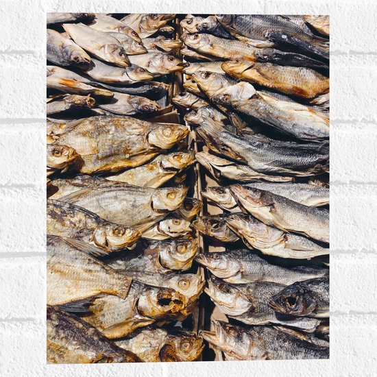 WallClassics - Muursticker - Verse Vissen op een Vismarkt - 30x40 cm Foto op Muursticker
