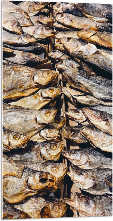 WallClassics - Acrylglas - Verse Vissen op een Vismarkt - 50x100 cm Foto op Acrylglas (Met Ophangsysteem)