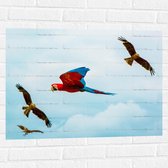 WallClassics - Muursticker - Vliegende Vogels Ara Papegaaien - 80x60 cm Foto op Muursticker