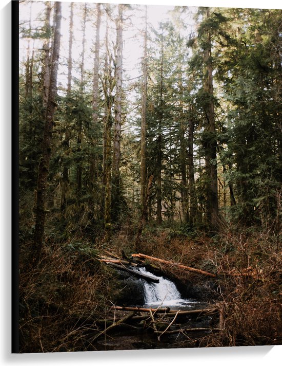 WallClassics - Toile - Petite cascade naturelle dans la forêt - 75x100 cm Photo sur toile (Décoration murale sur toile)