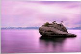 WallClassics - Verre acrylique - Rocher dans Water violette - Photo sur verre acrylique 75 x 50 cm (avec système de suspension)
