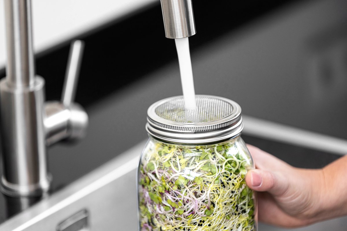 Kos Design Kiempotten - XL - RVS - Kiemschaaltje - Kiemglas - Kiemzaden - Kiemtoren - Kiemgroente - Vaatwasser Bestendig - 2 X 1000 ML Potten - Kiemdeksel — afbeelding 4