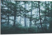 WallClassics - Dibond - Lichte Mist in een Groen Bos - 105x70 cm Foto op Aluminium (Wanddecoratie van metaal)