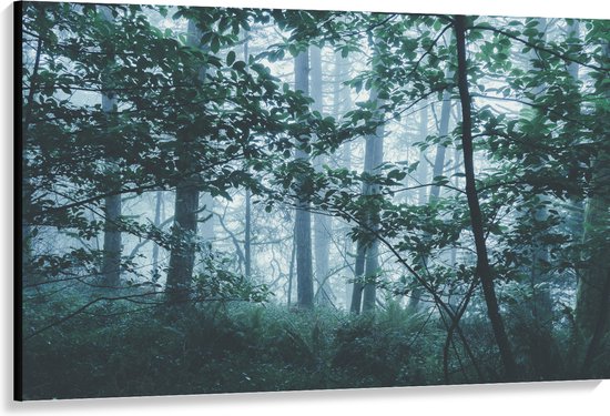 WallClassics - Canvas  - Lichte Mist in een Groen Bos - 150x100 cm Foto op Canvas Schilderij (Wanddecoratie op Canvas)