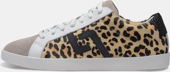 Rollie | Dames | Sneaker | Prime Leopard Clash | Maat 38