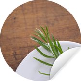 WallCircle - Muurstickers - Behangcirkel - Spierwitte schaal met een eenzame dragon plantje op een houten tafel - 50x50 cm - Muurcirkel - Zelfklevend - Ronde Behangsticker
