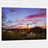 WallClassics - Muursticker - Roze Wolken in de Lucht - 100x75 cm Foto op Muursticker